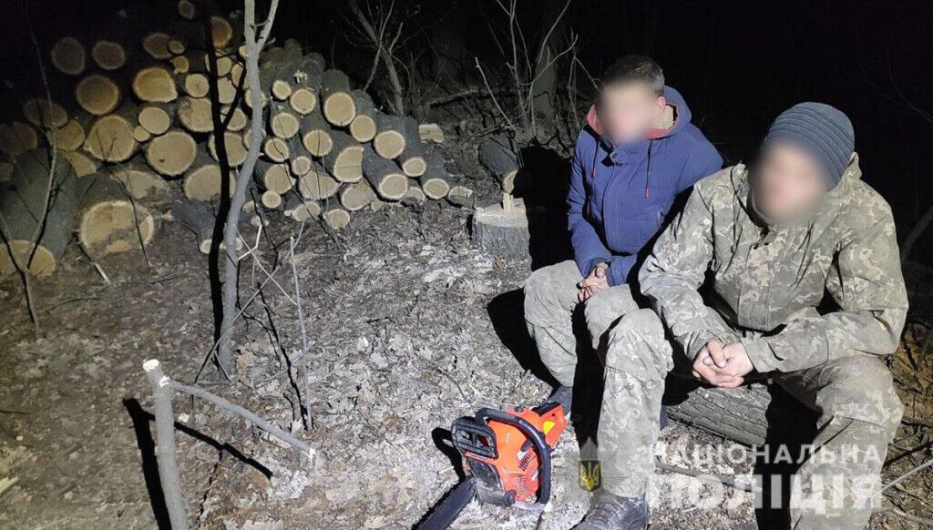 Поліцейські затримали групу «чорних лісорубів», які завдали екосистемі шкоди на суму близько мільйона гривень