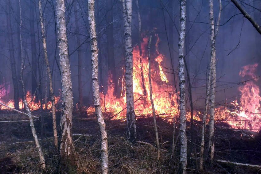 На Хмельниччині не вщухають пожежі в екосистемах. На місці однієї з них виявлено тіло жінки без ознак життя
