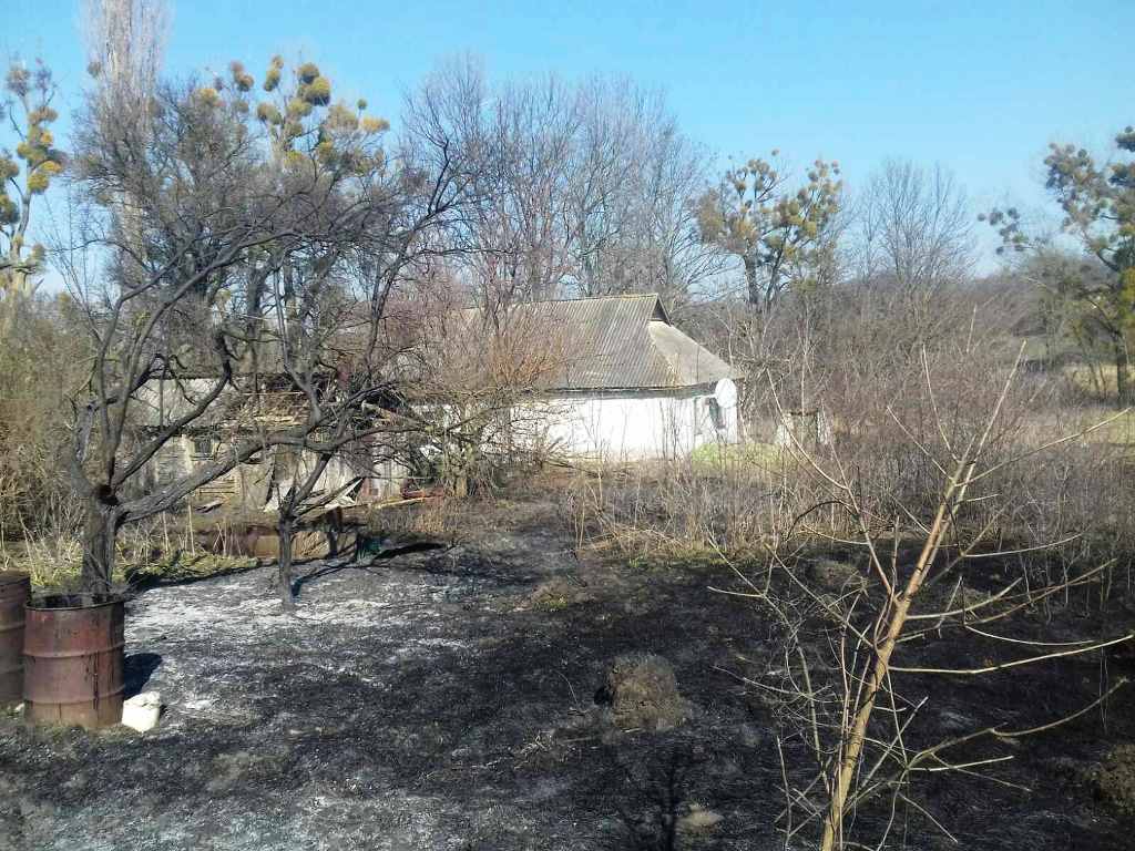 Житомирська область: упродовж доби зафіксовано 70 загорянь в екосистемах, вогнем пройдено більше 100 га території