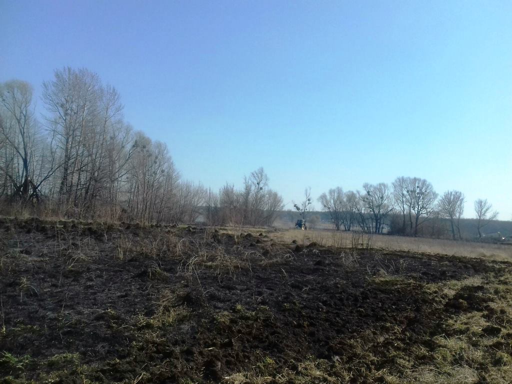 Житомирська область: упродовж доби зафіксовано 70 загорянь в екосистемах, вогнем пройдено більше 100 га території