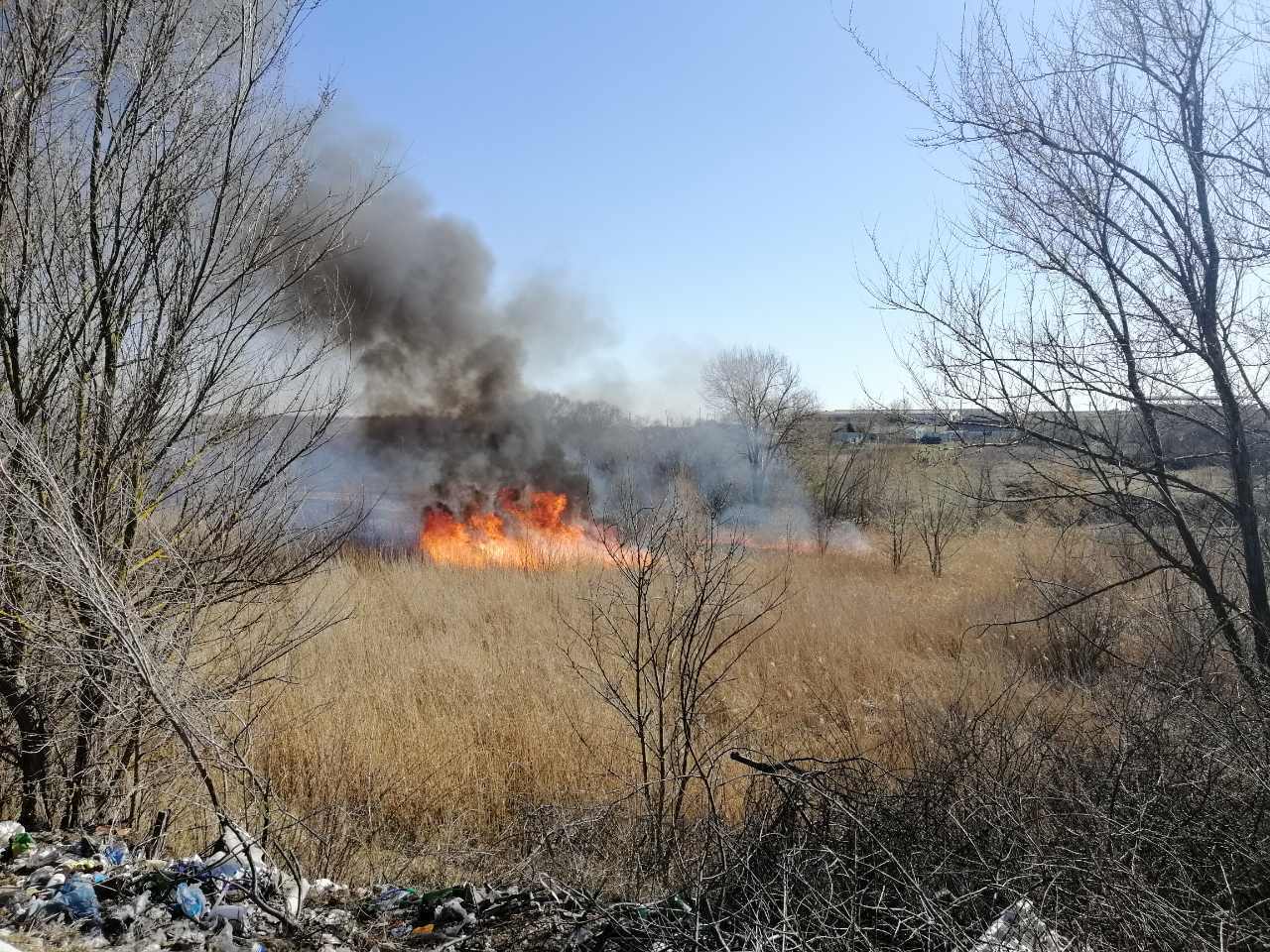 Протягом доби на Миколаївщині горіла суха трава, солома в тюках та сміття