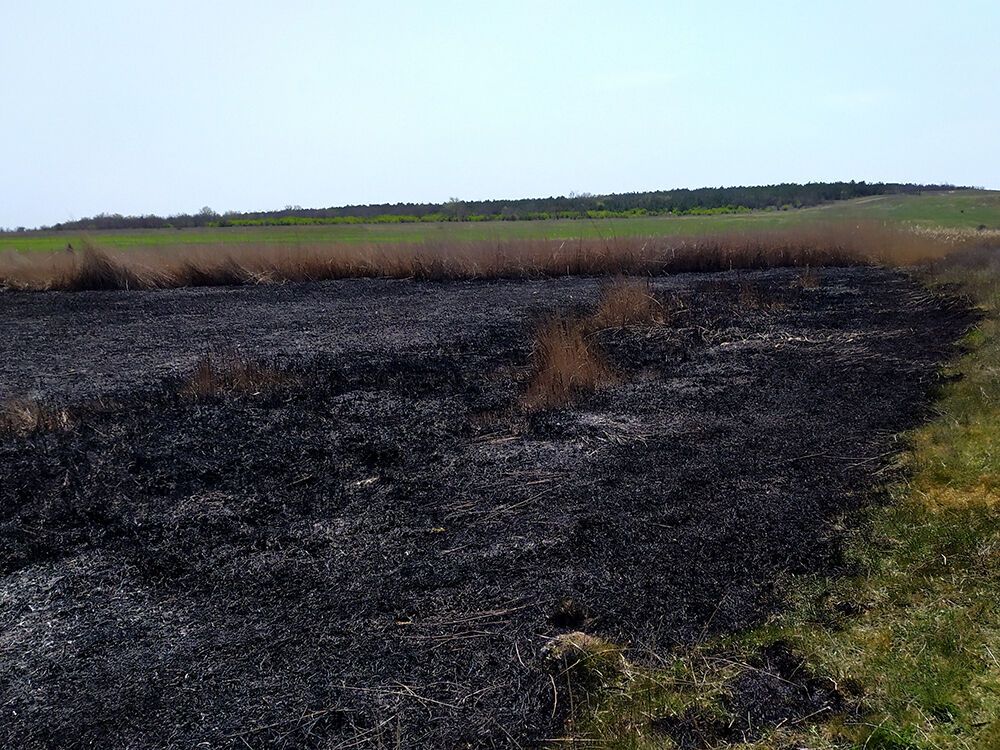 4 пожежі на відкритих територіях Миколаївщини площею понад 7 га – наслідки доби