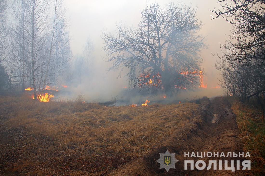 Поліція Житомирщини розслідує причини пожеж у лісах області