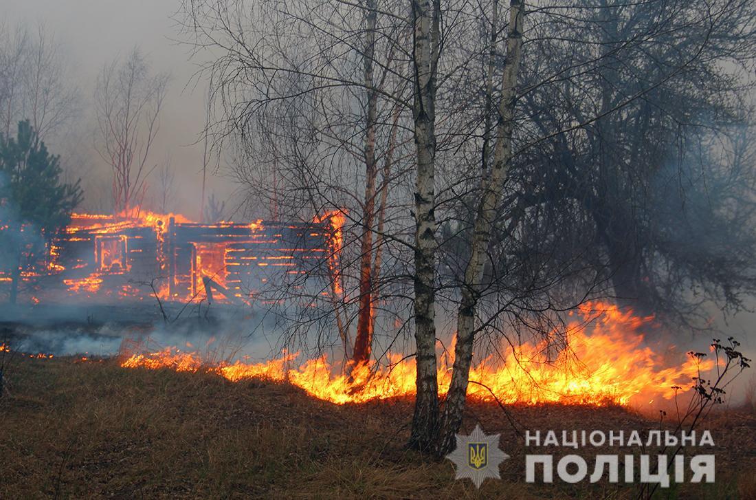 Поліція Житомирщини розслідує причини пожеж у лісах області
