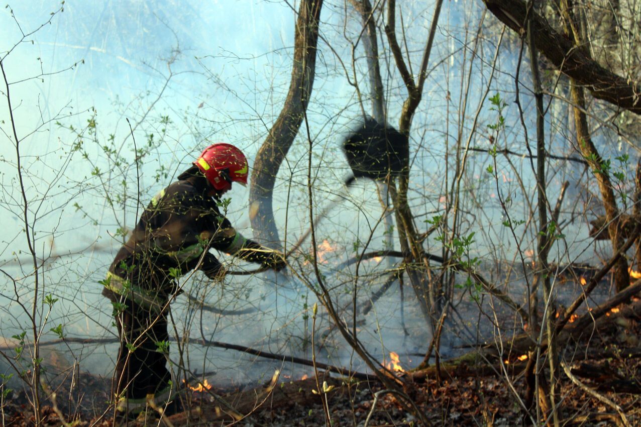 Рятувальники Хмельниччини ліквідували загоряння лісової підстилки, не давши вогню перерости у верхову пожежу