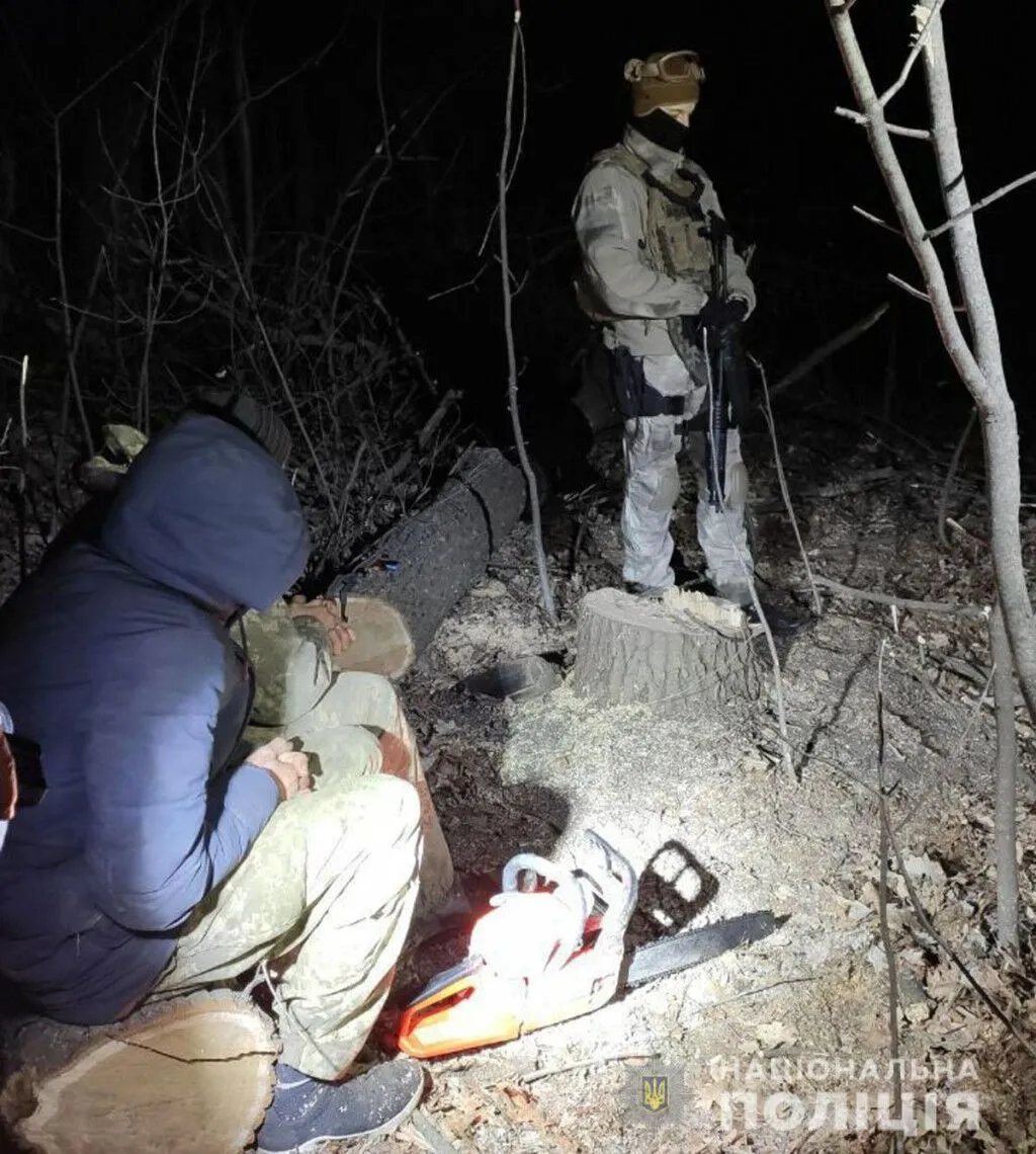 Поліцейські затримали групу «чорних лісорубів», які завдали екосистемі шкоди на суму близько мільйона гривень