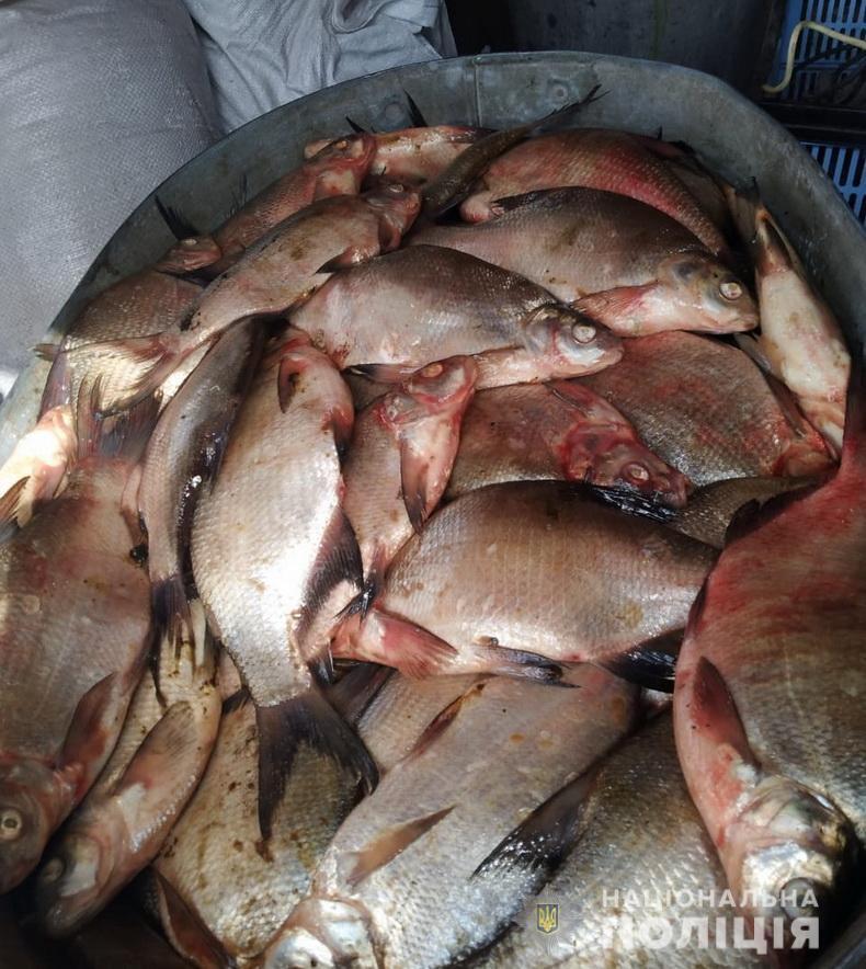 На Луганщині поліцейські, які несуть службу у складі мобільного «блокпосту», виявили в автівці 200 кг риби