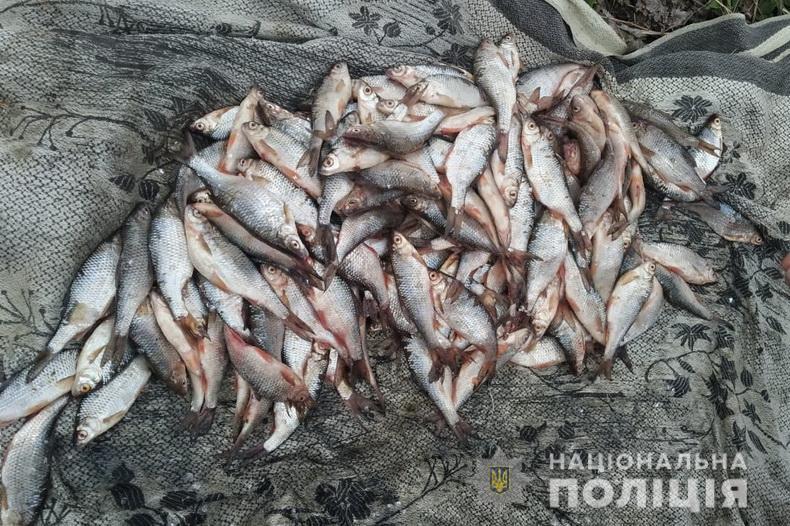 На Луганщині поліцейські, які несуть службу у складі мобільного «блокпосту», виявили в автівці 200 кг риби