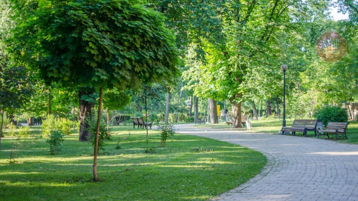 Зеленського просять дозволити спортсменам та велосипедистам відвідувати парки й сквери