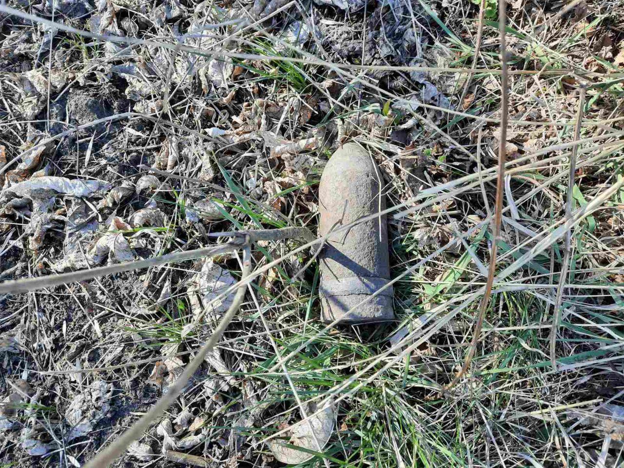 Кіровоградська область: піротехніки ДСНС знищили 2 вибухонебезпечні предмети часів Другої світової війни