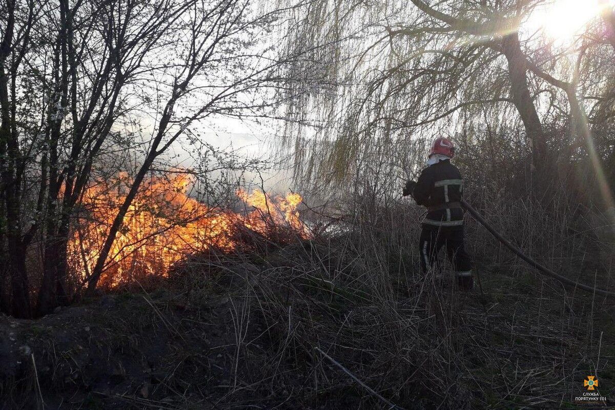 Тернопільська область: триває ліквідація масштабної пожежі на території Чистилівського орнітологічного заказника