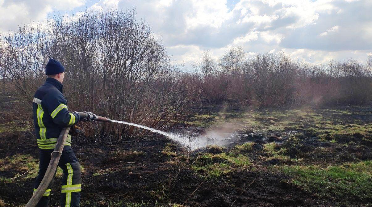 За добу вогнеборці Чернігівщини ліквідували 20 пожеж в природних екосистемах