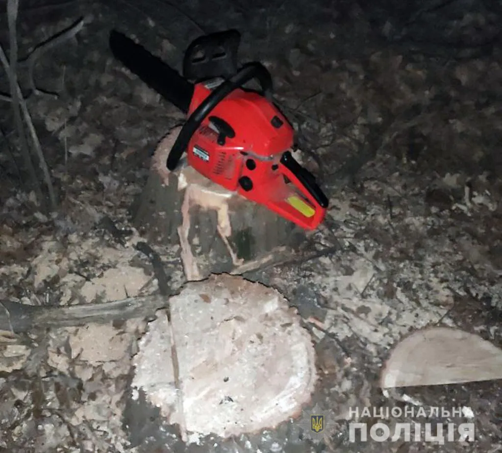Поліцейські затримали групу «чорних лісорубів», які завдали екосистемі шкоди на суму близько мільйона гривень