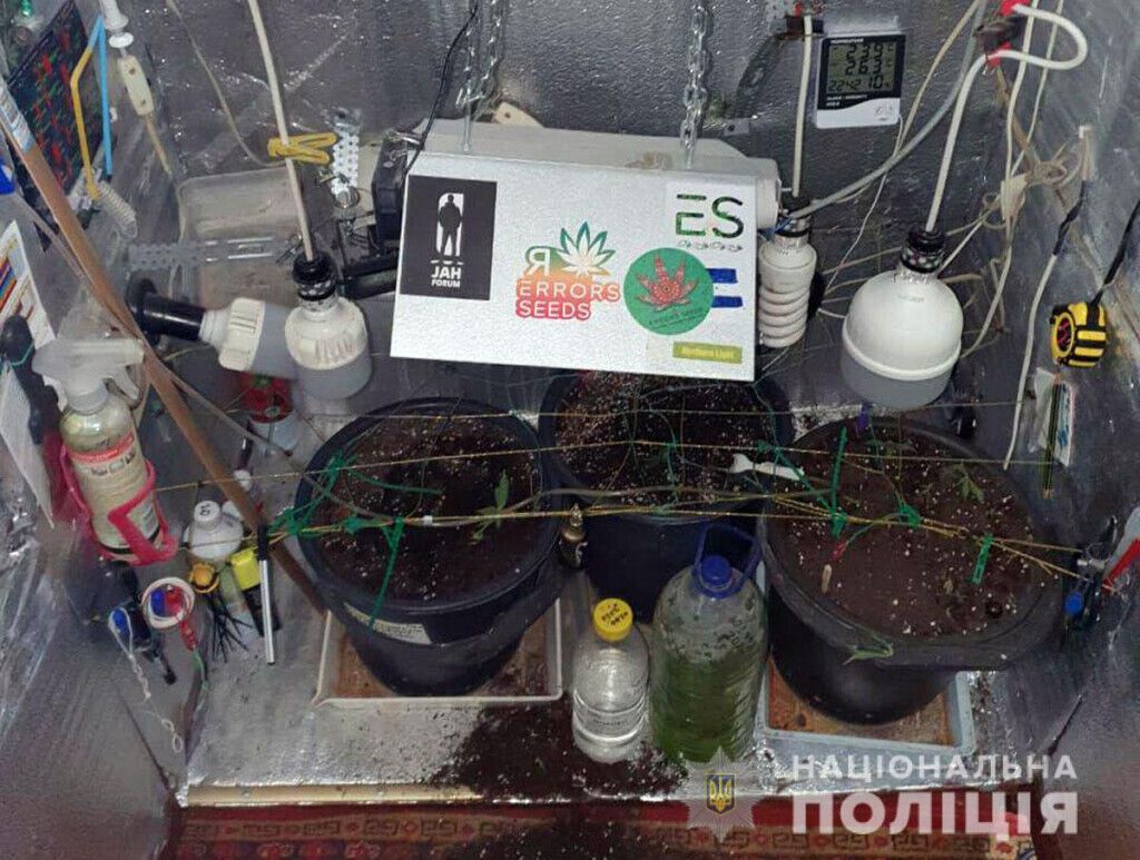 Поліцейські Дружківки виявили «мінілабораторію» з вирощування наркотичних рослин