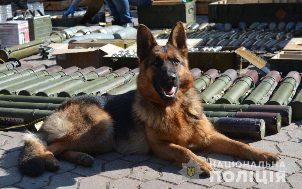 Поліцейські Донеччини знешкодили склади з тисячами боєприпасів