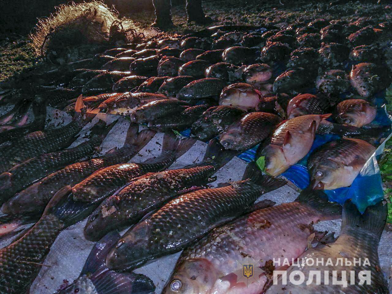 Упродовж місяця поліція на воді попередила завдання збитків державі на суму понад &nbsp;два &nbsp;мільйони гривень