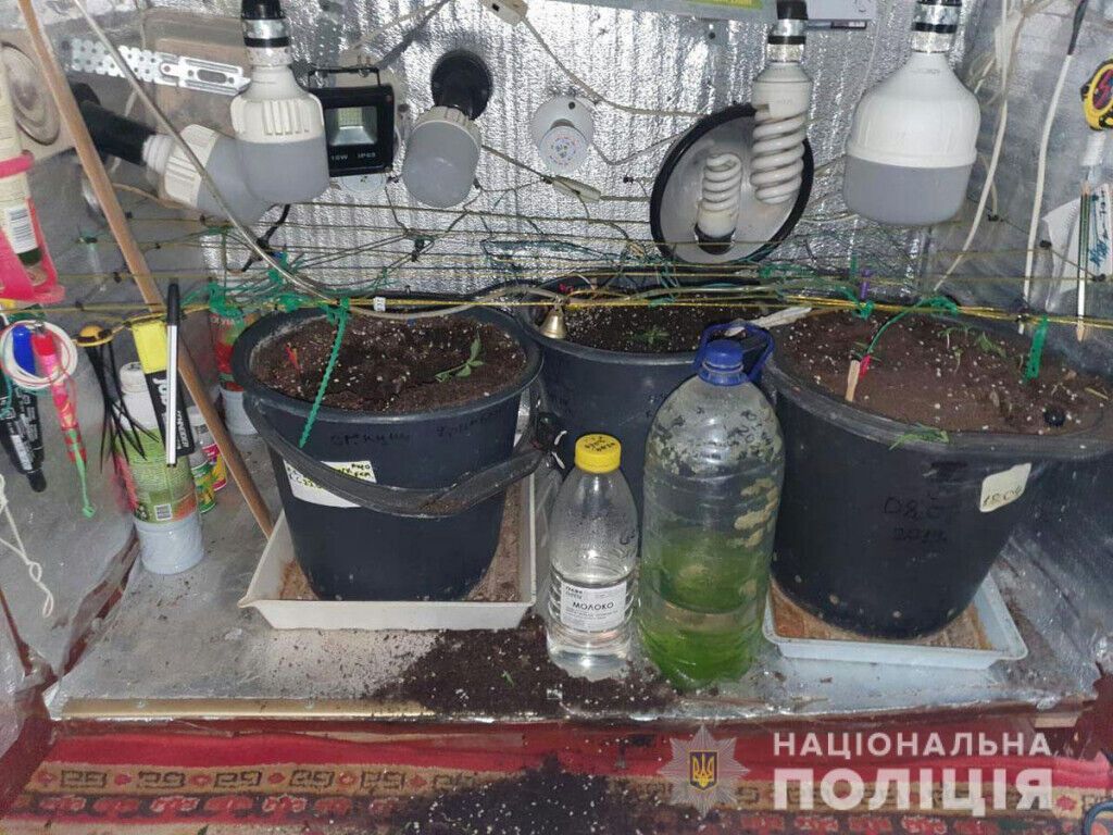 Поліцейські Дружківки виявили «мінілабораторію» з вирощування наркотичних рослин