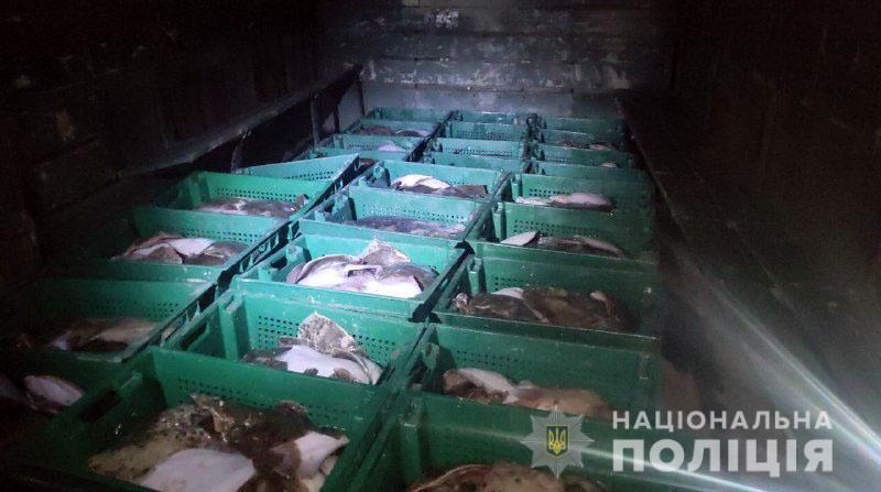 Поліцейські Мангуша затримали браконьєрів, що завдали збитку державі на суму понад мільйон гривень