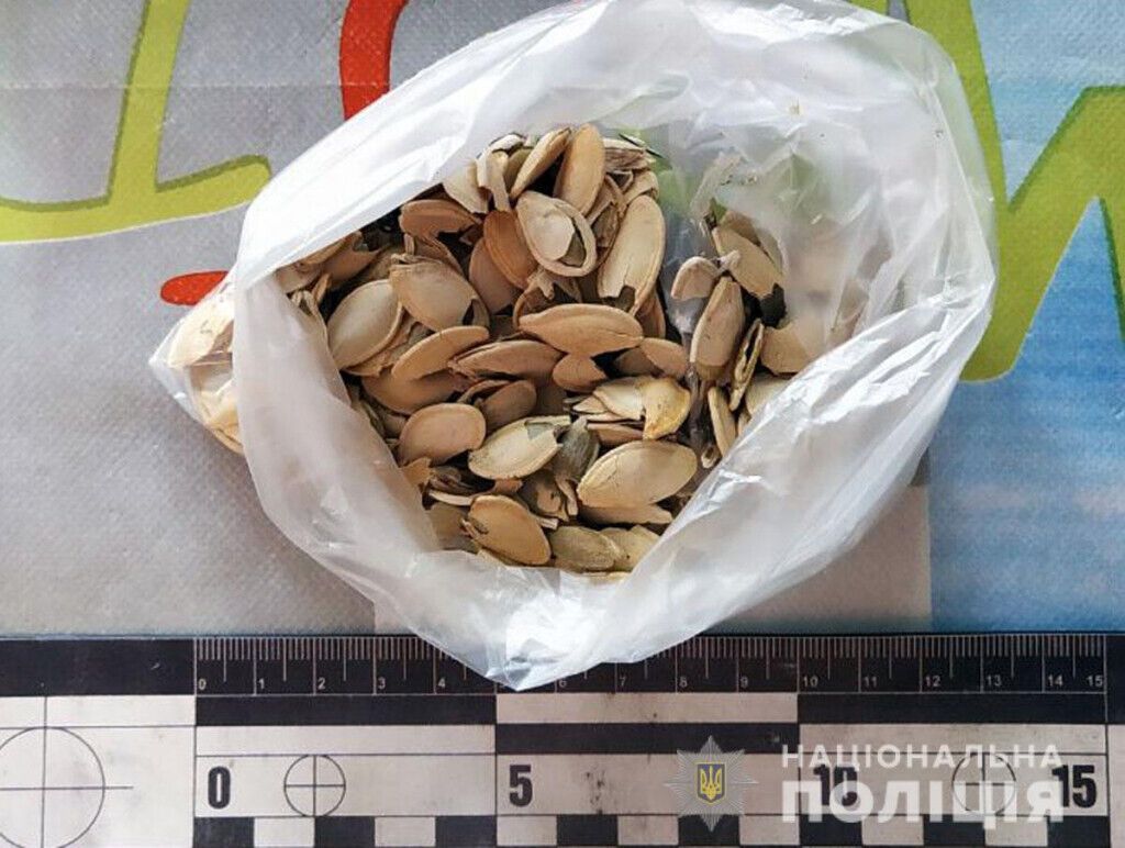 Насіння з наркотичною начинкою. В Бахмуті у посилці для ув’язненого правоохоронці виявили наркотики