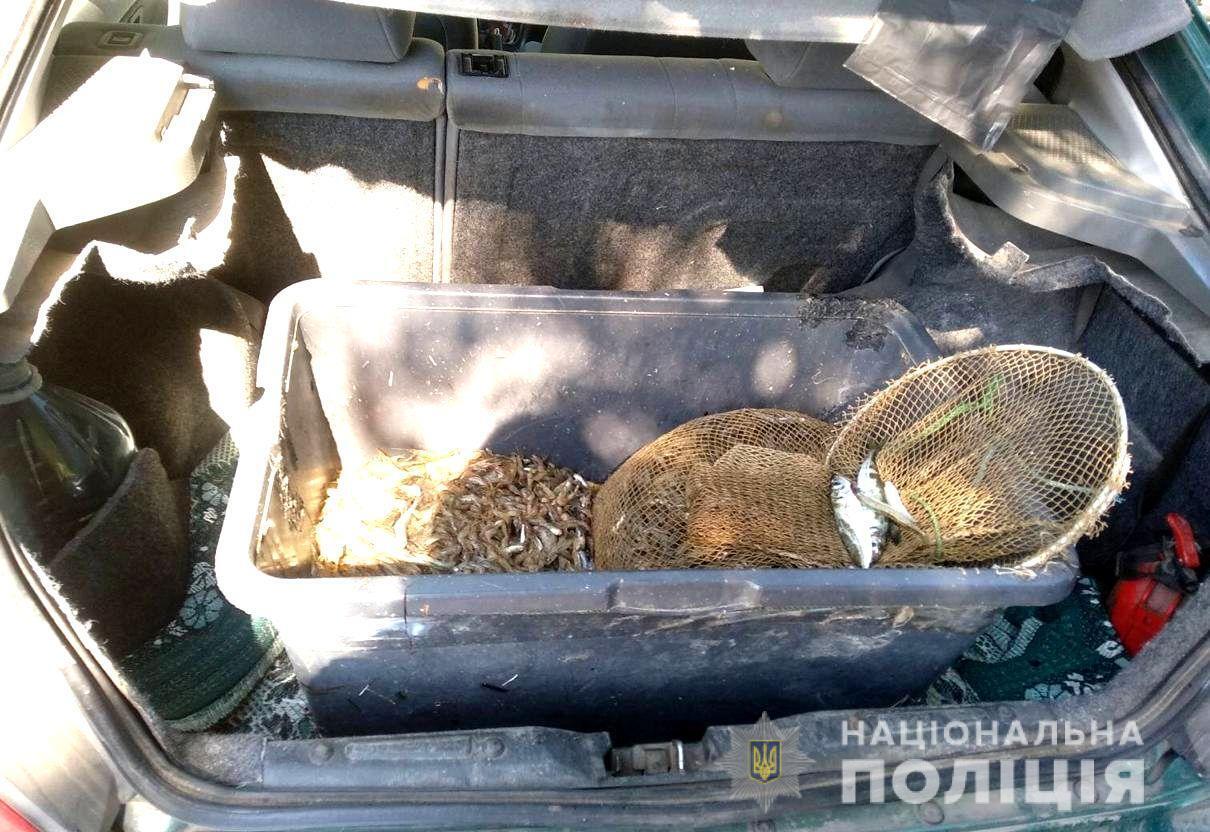 У Скадовському районі поліцейські зупинили автомобіль, водій якого перевозив 40 кг незаконно виловлених креветок та риби