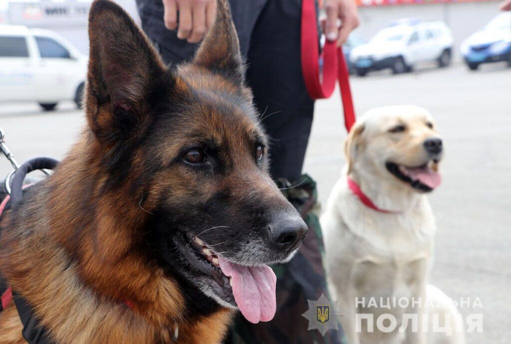 Поліцейські Донеччини провели комплексне відпрацювання Маріуполя