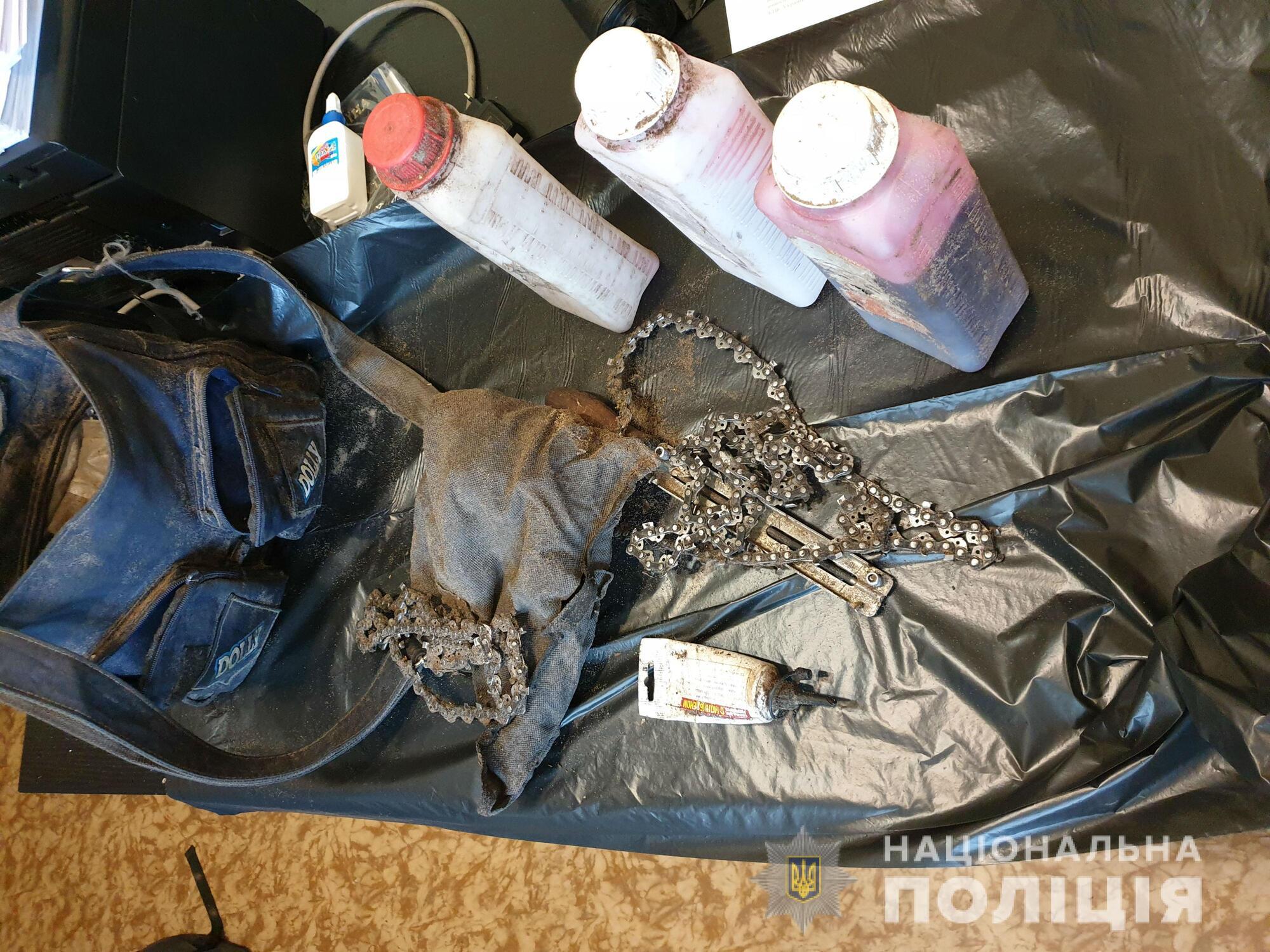 Харківські слідчі закінчили досудове розслідування відносно осіб, які систематично здійснювали незаконну вирубку захисних лісонасаджень