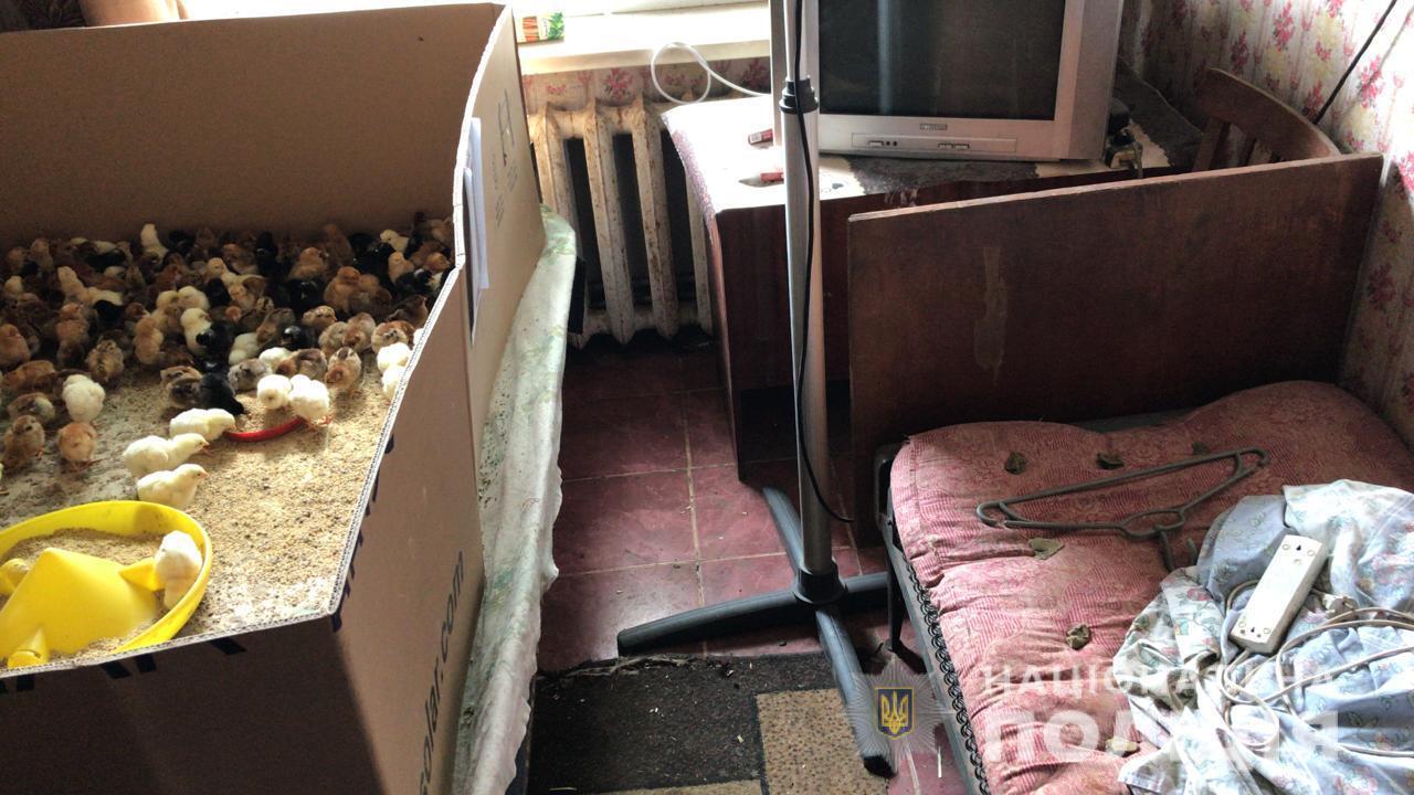 На Харківщині поліцейські викрили осіб, які вербували людей для трудової експлуатації