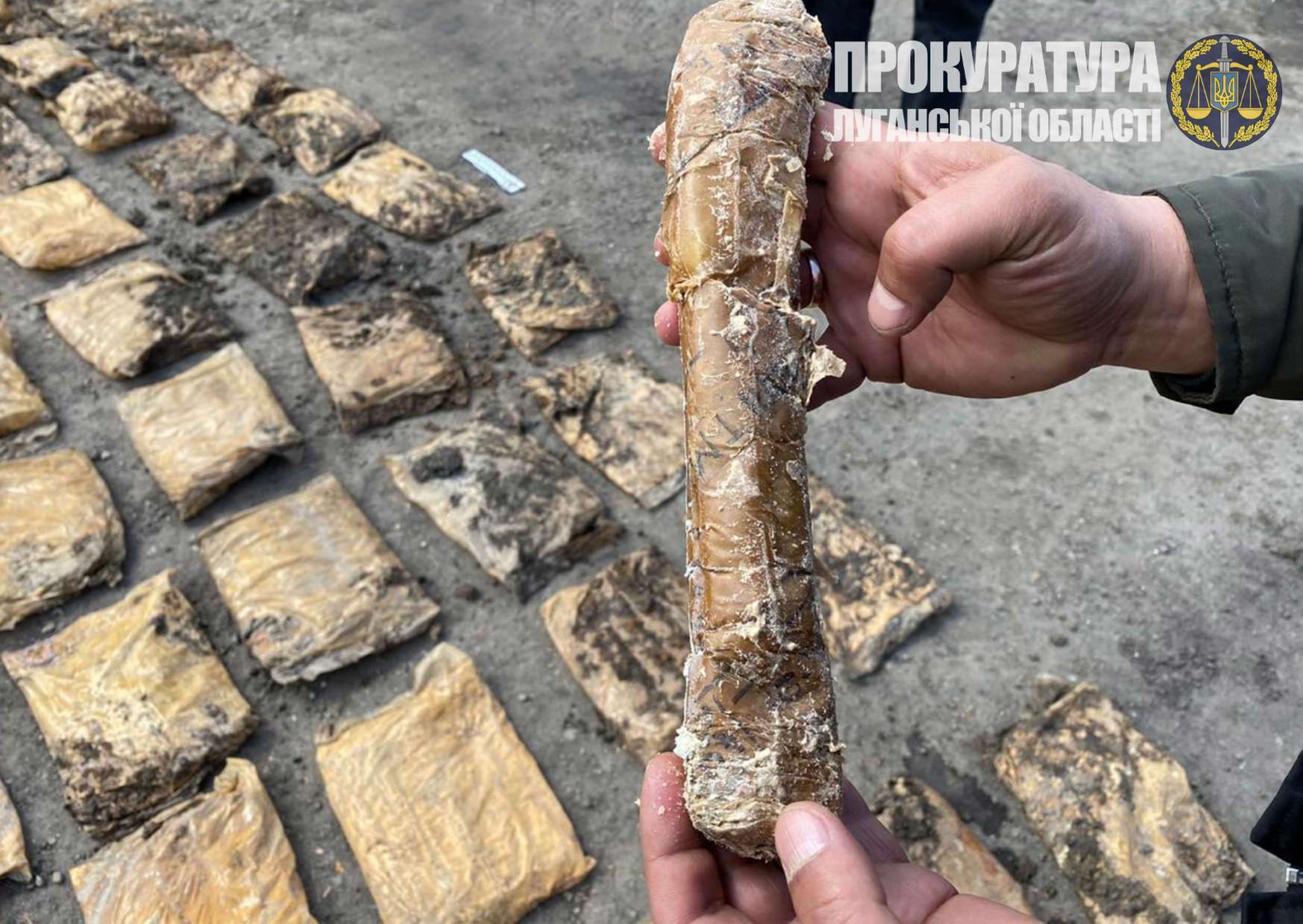 На Луганщині виявили схрон з вибухівкою – понад 210 кг амонітових шашок (ФОТО)