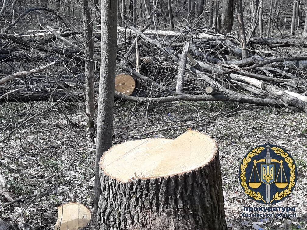 Суд обрав запобіжні заходи двом поліціянтам, які підозрюються у кришуванні групи «чорних лісорубів» та вимаганні і отриманні неправомірної вигоди