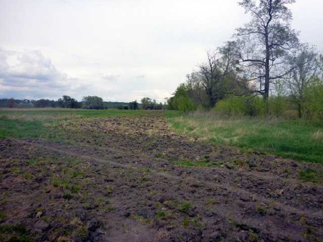 Украсть и распахать