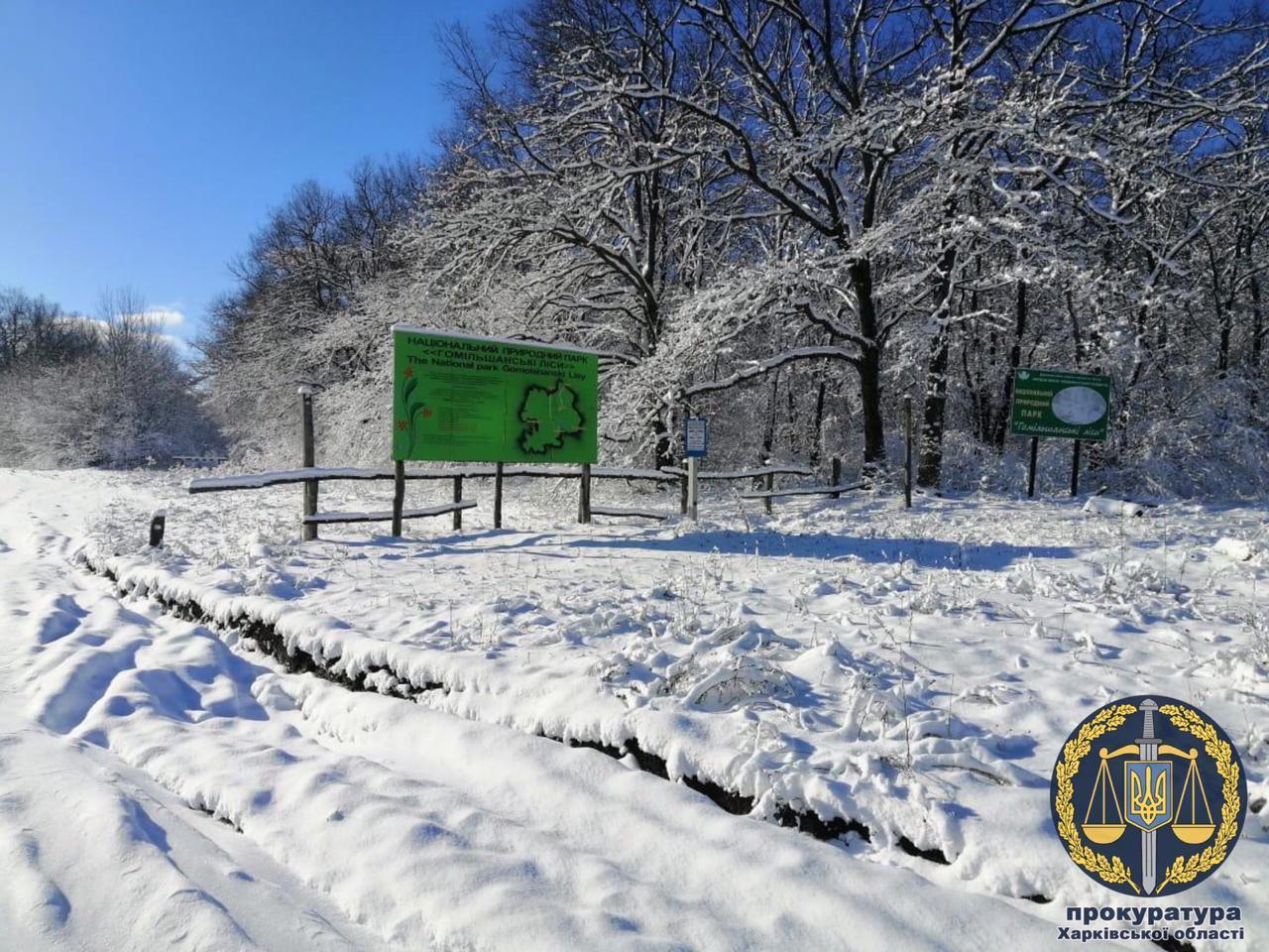 Надав у приватну власність земельні ділянки Національного природного парку «Гомільшанські ліси»: колишній посадовець постане перед судом