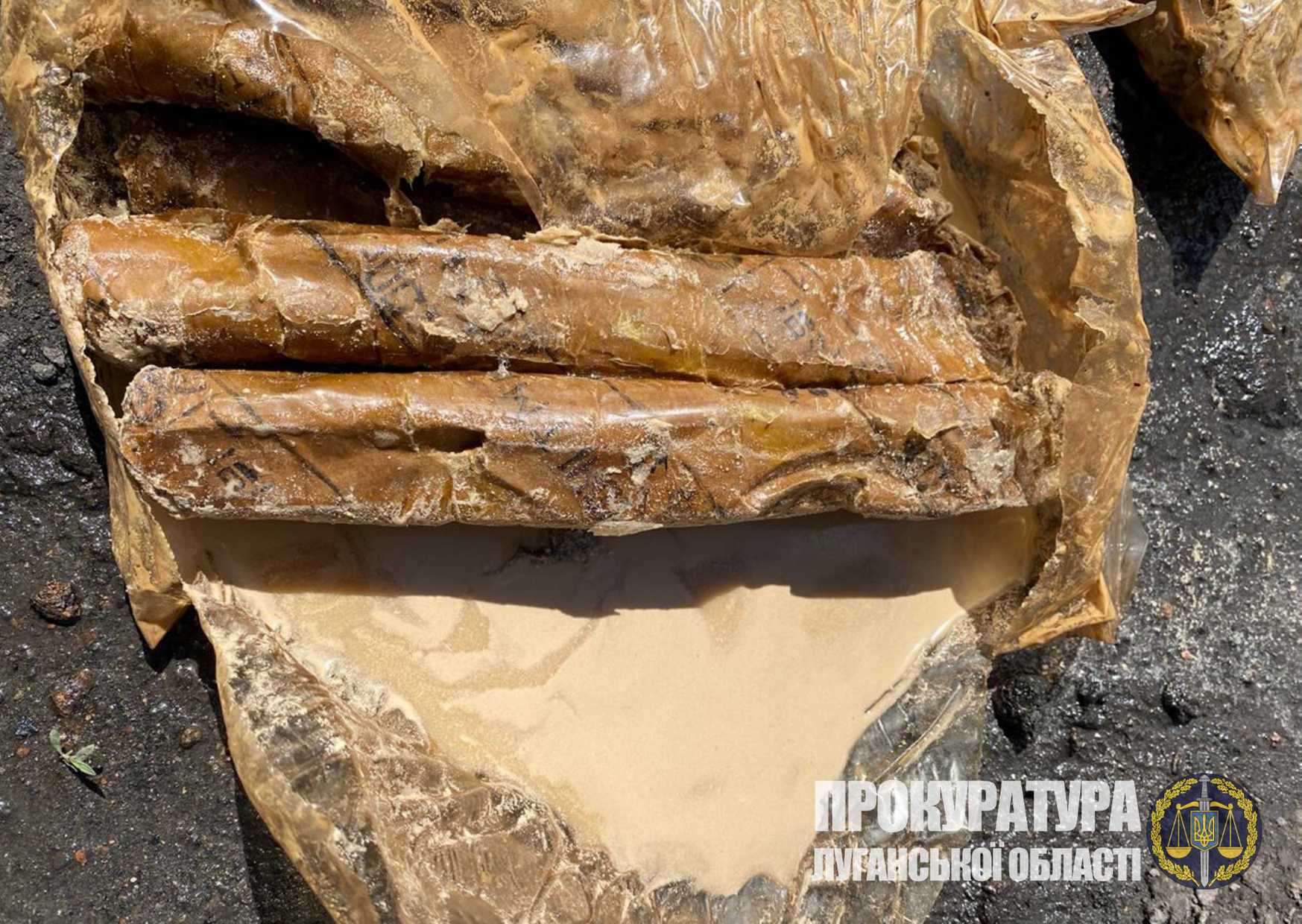 На Луганщині виявили схрон з вибухівкою – понад 210 кг амонітових шашок (ФОТО)