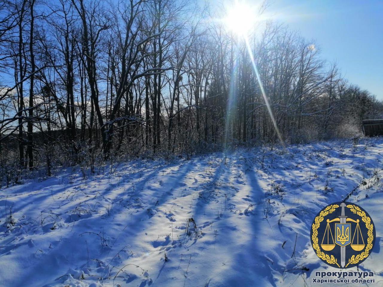 Надав у приватну власність земельні ділянки Національного природного парку «Гомільшанські ліси»: колишній посадовець постане перед судом