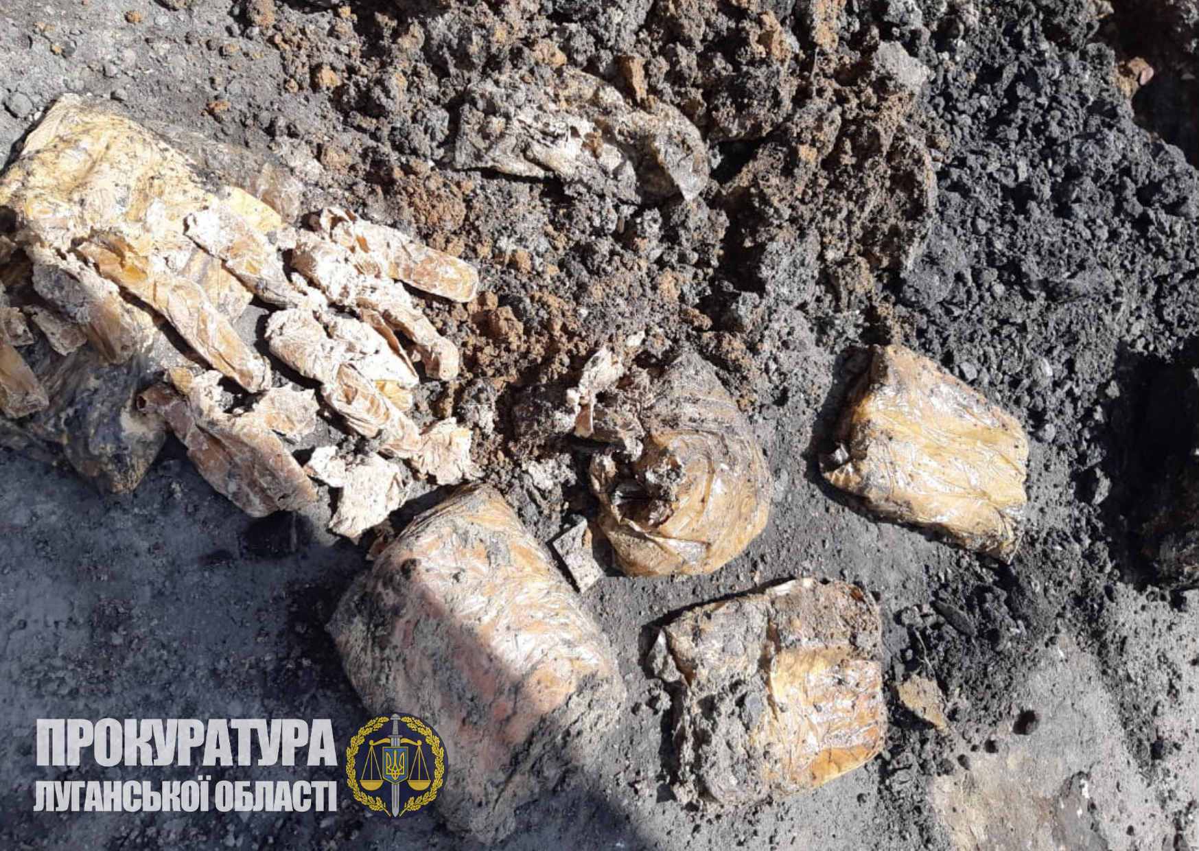 На Луганщині виявили схрон з вибухівкою – понад 210 кг амонітових шашок (ФОТО)