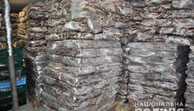 На Черкащині знешкодили банду браконьєрів,  яка щодня виловлювала тонни риби