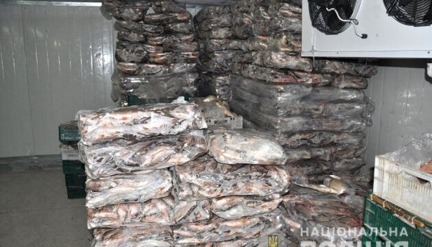 На Черкащині знешкодили банду браконьєрів,  яка щодня виловлювала тонни риби