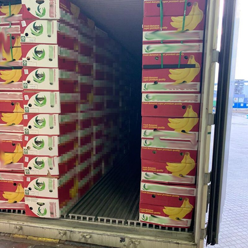 Правоохоронці зупинили контрабанду 53,4 кг кокаїну з Південної Америки до України (ФОТО)