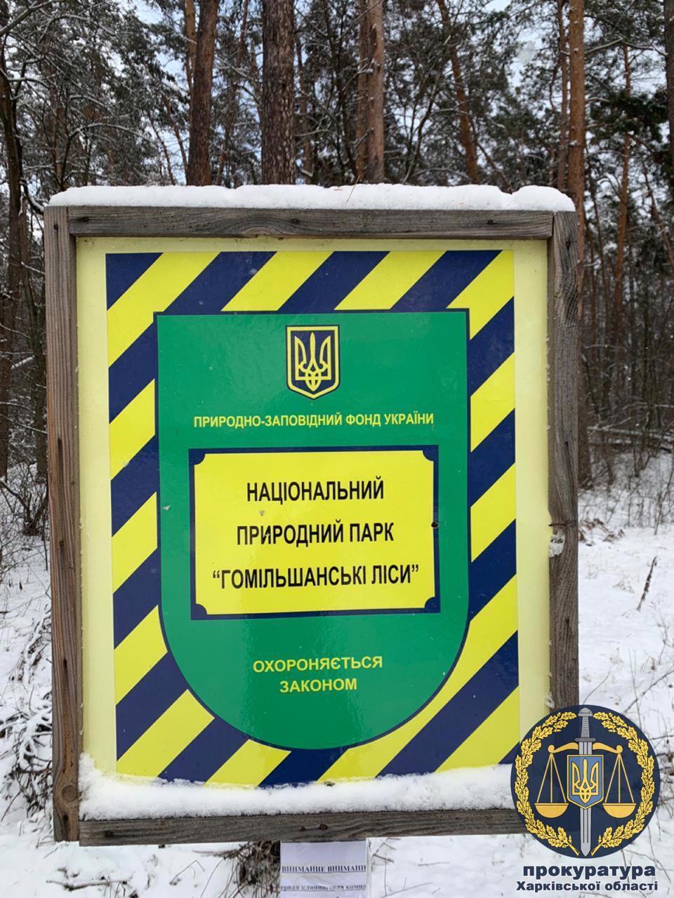 Надав у приватну власність земельні ділянки Національного природного парку «Гомільшанські ліси»: колишній посадовець постане перед судом