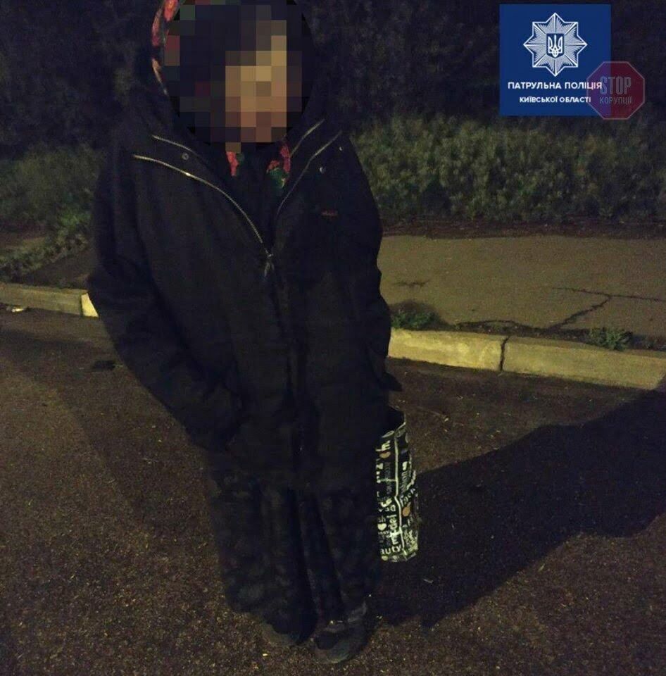 Карантин завадив: бабуся вирішила пішки дійти з Полтави до Києва