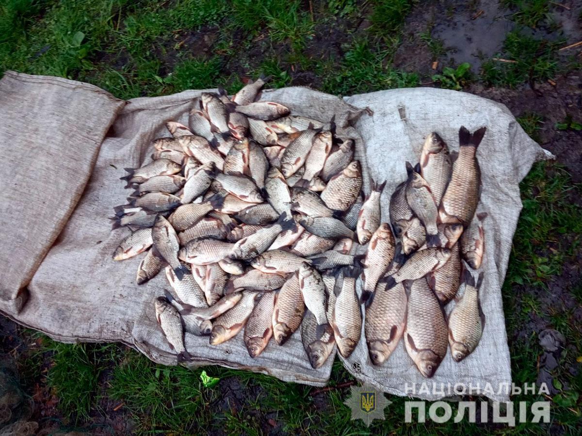 На Полтавщині під час «Нересту» поліція спільно з рибоохороною вилучила незаконно виловленої риби на понад півмільйона гривень