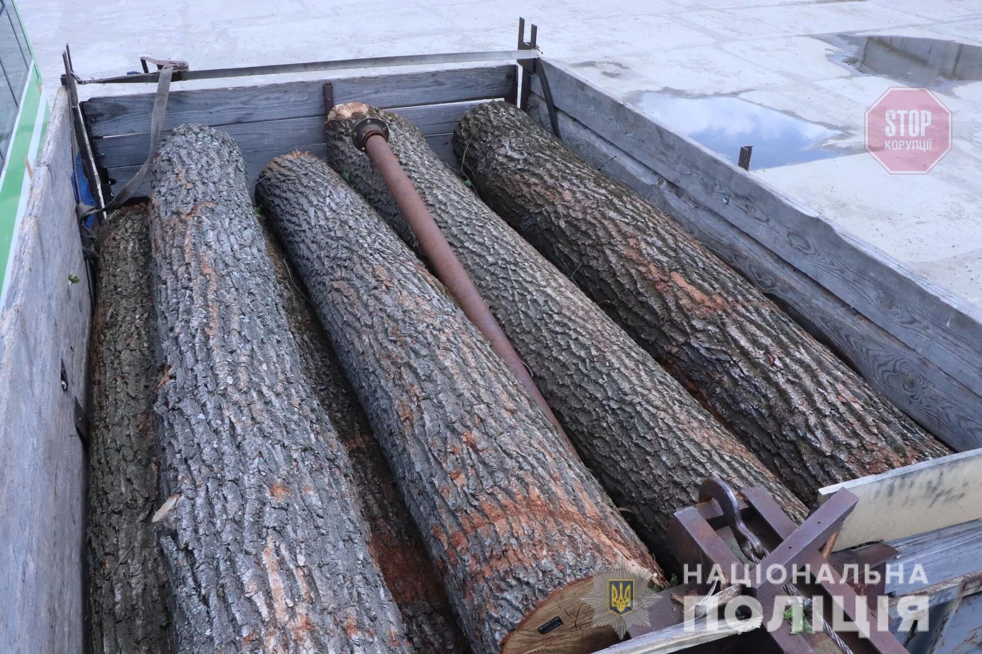 Незаконна вирубка: у Харківській області порушник перевозив дуби (фото)