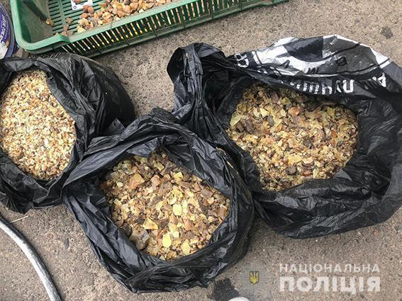 На Рівненщині правоохоронці провели обшуки у копачів бурштину