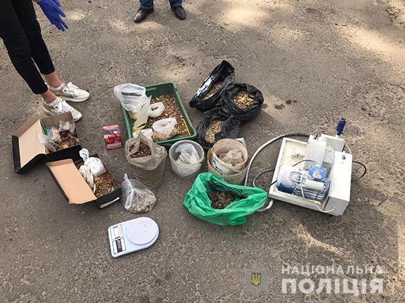 На Рівненщині правоохоронці провели обшуки у копачів бурштину