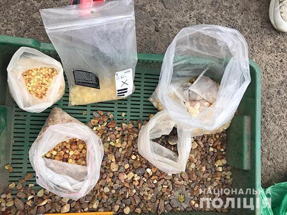 На Рівненщині правоохоронці провели обшуки у копачів бурштину