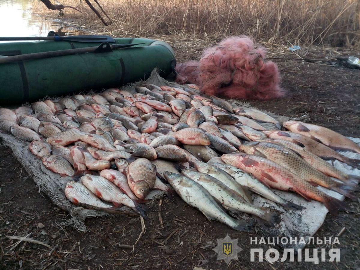 На Полтавщині під час «Нересту» поліція спільно з рибоохороною вилучила незаконно виловленої риби на понад півмільйона гривень
