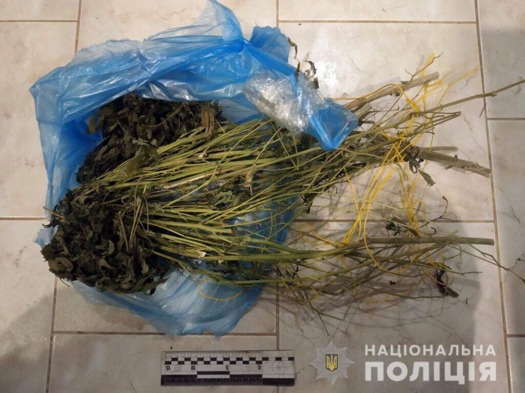 Поліцейські вилучили у жителя Дружківки зброю та наркотики