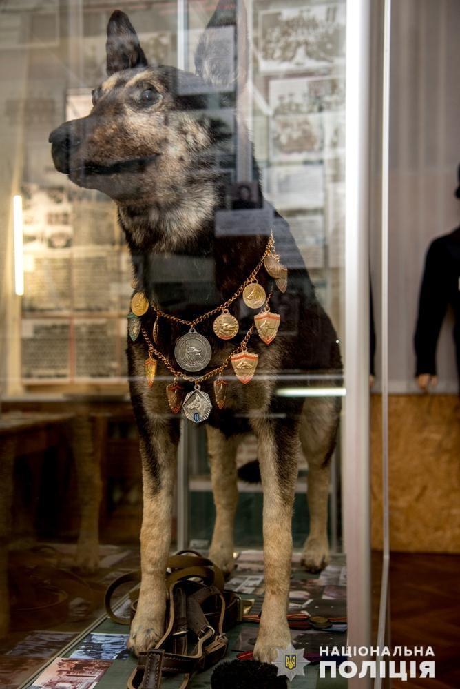 До Міжнародного дня музеїв - про «Храм доблесті, честі і доброї пам'яті» правохоронних органів Одещини