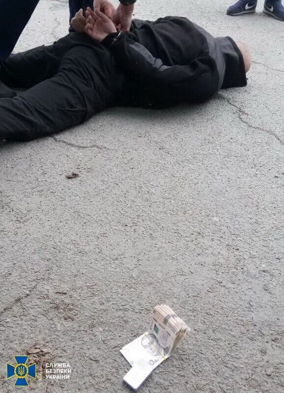 СБУ затримання: На Житомирщині керівник одного з підрозділів Нацполіції систематично отримував гроші з легальних перевізників лісопродукції