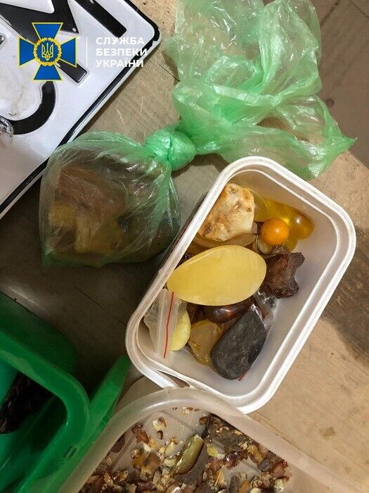 На Рівненщині СБУ попередила нелегальний продаж бурштину на понад 2 мільйони гривень