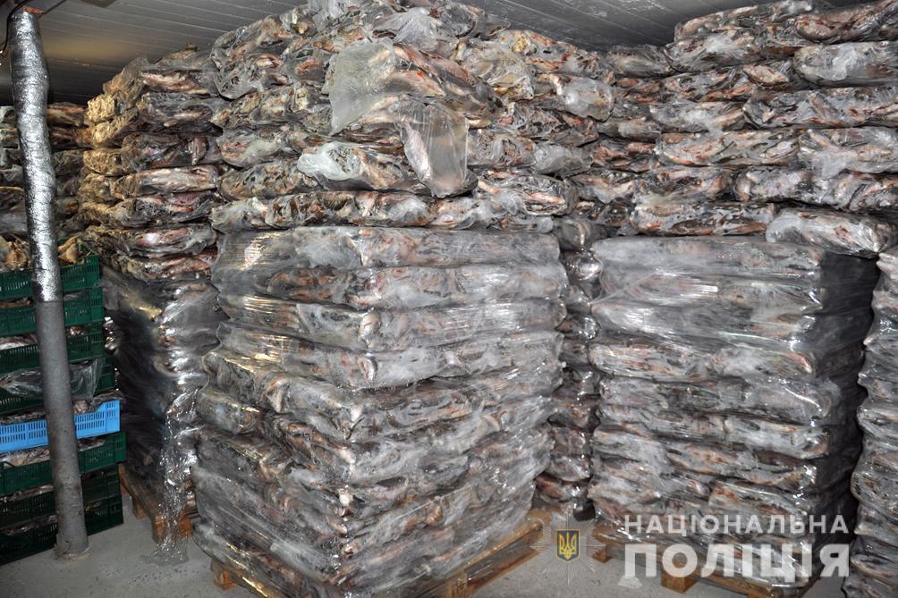 Поліція Черкащини затримала колишнього правоохоронця і його спільників, які займалися незаконним рибним промислом